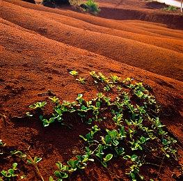《失落之魂》幕后视频：杨冰讲述从个人情怀到动作RPG的英雄之旅